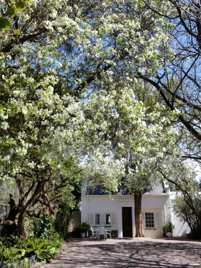 Little Green World Beaufort West Exterior foto